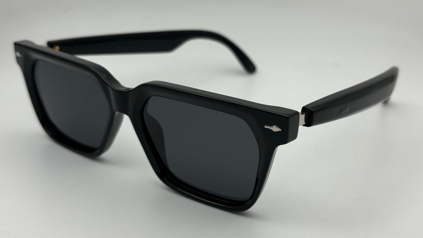 Audio AI Sunglasses